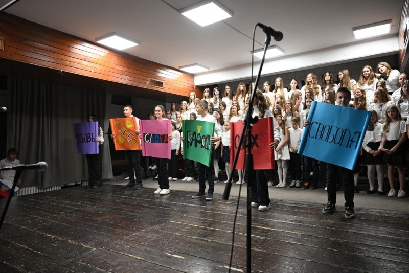 MSF_3687-Copy